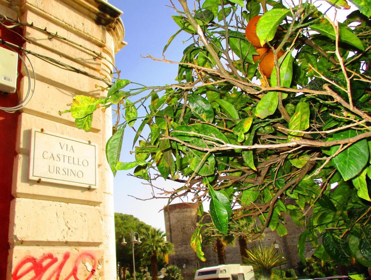 Diletta Oasi Bed & Breakfast คาตาเนีย ภายนอก รูปภาพ